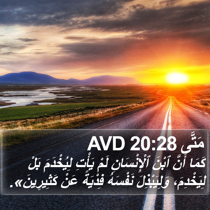 مَتَّى 20:28 AVD Bible Study