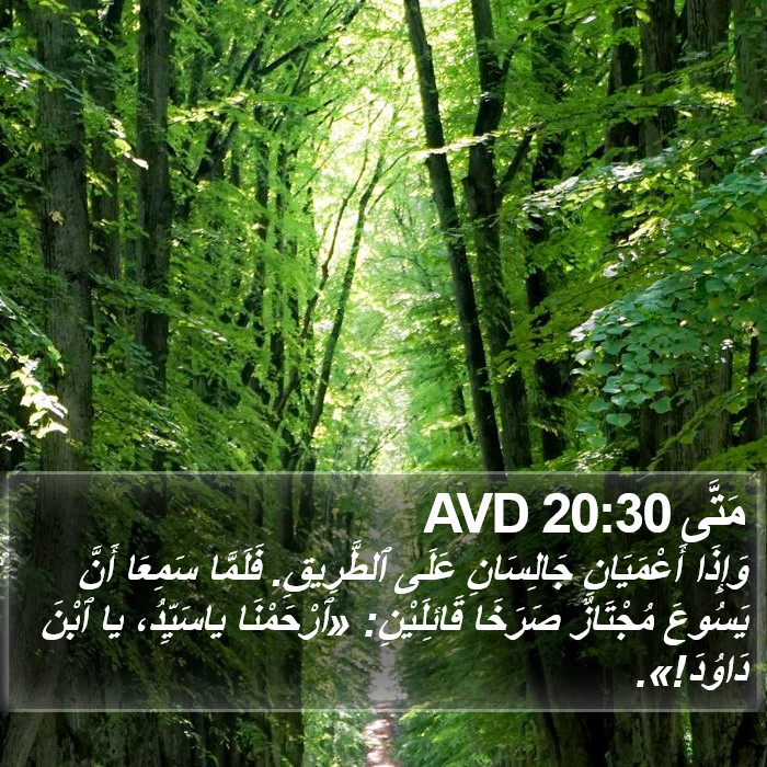 مَتَّى 20:30 AVD Bible Study