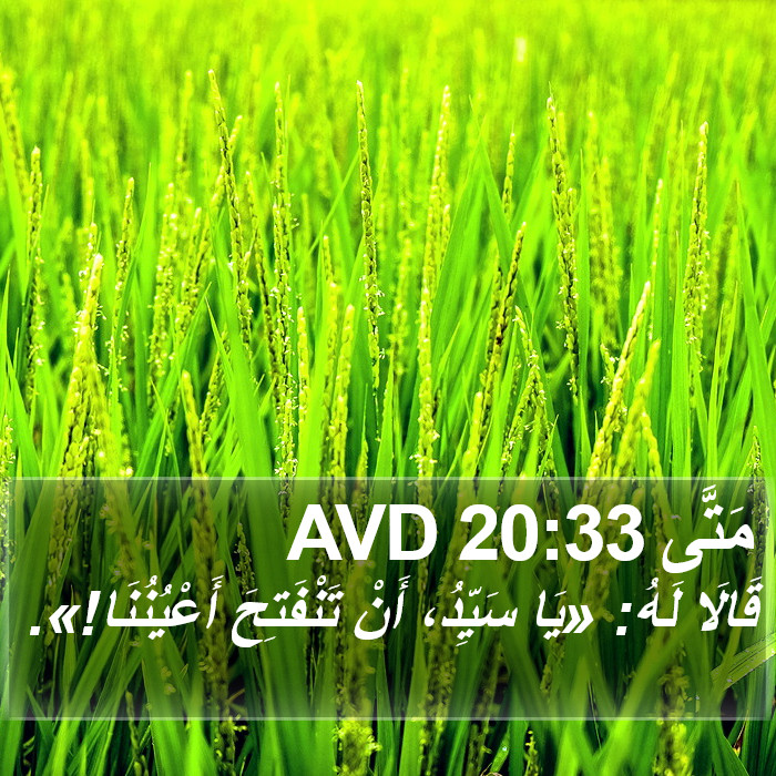 مَتَّى 20:33 AVD Bible Study