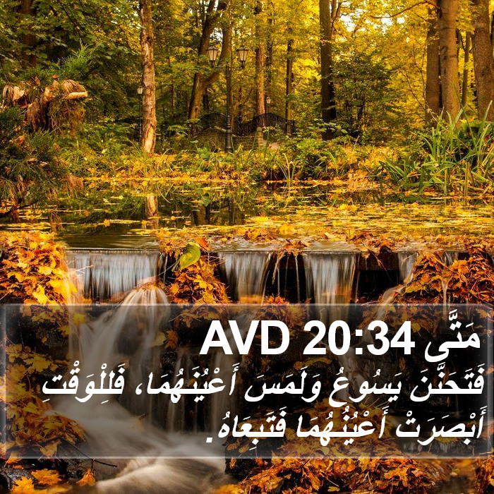 مَتَّى 20:34 AVD Bible Study