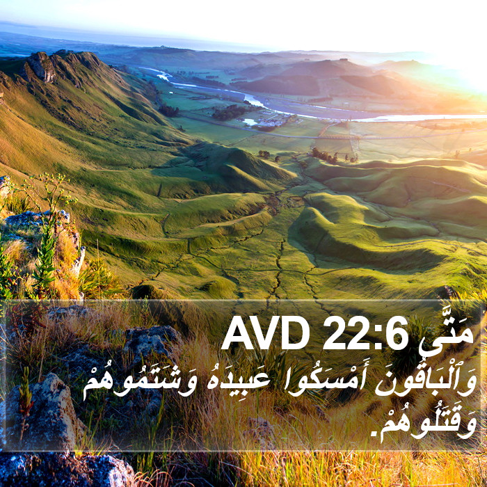 مَتَّى 22:6 AVD Bible Study