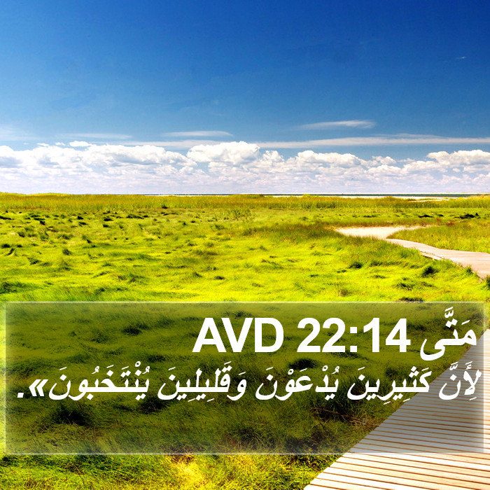 مَتَّى 22:14 AVD Bible Study