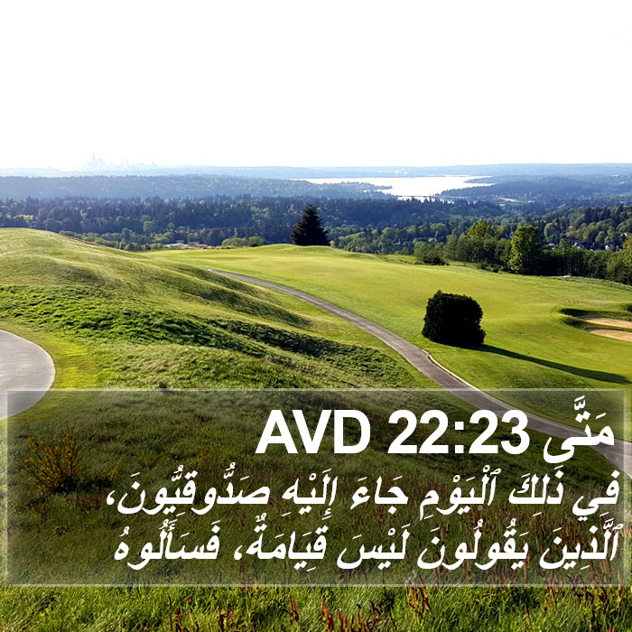مَتَّى 22:23 AVD Bible Study