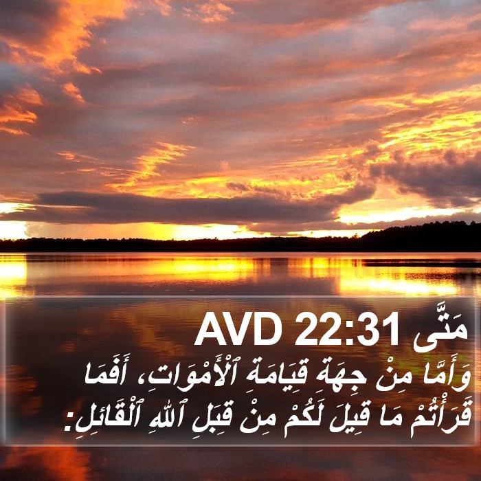 مَتَّى 22:31 AVD Bible Study