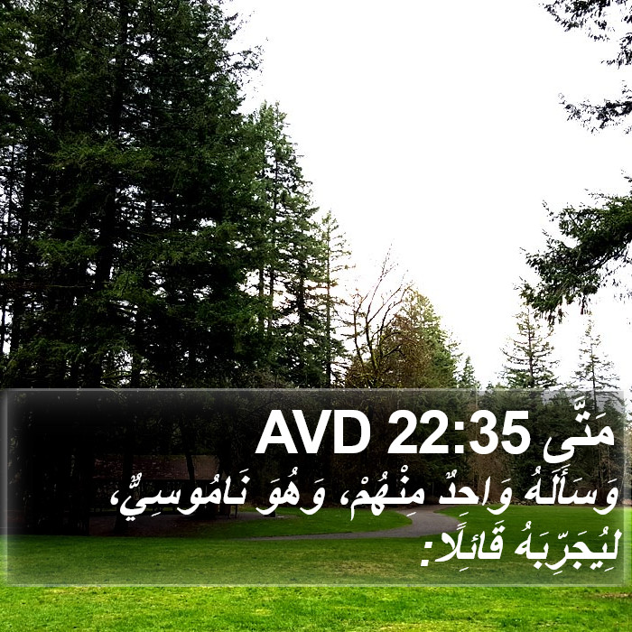 مَتَّى 22:35 AVD Bible Study