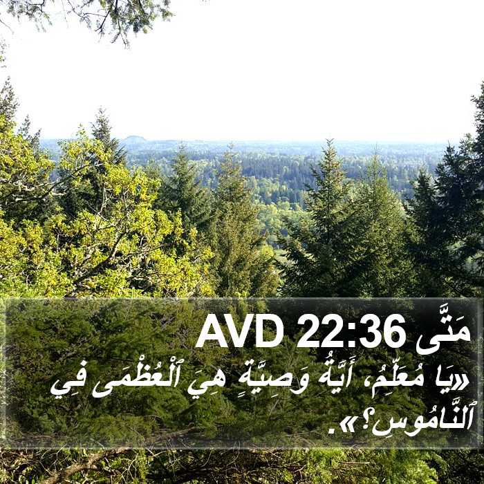مَتَّى 22:36 AVD Bible Study