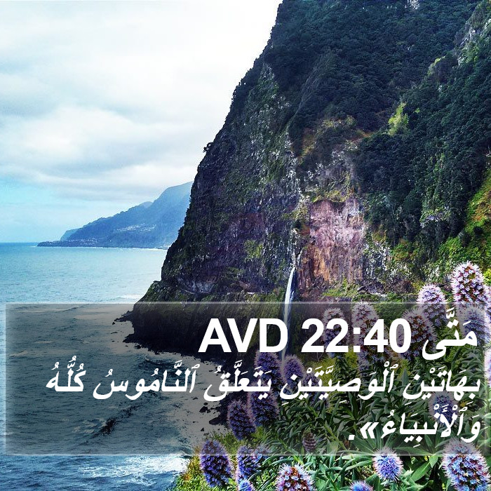 مَتَّى 22:40 AVD Bible Study