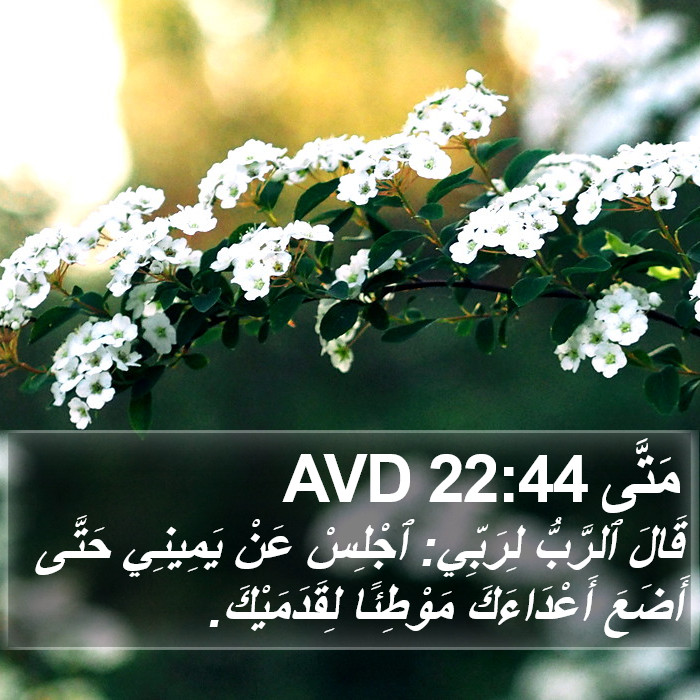 مَتَّى 22:44 AVD Bible Study