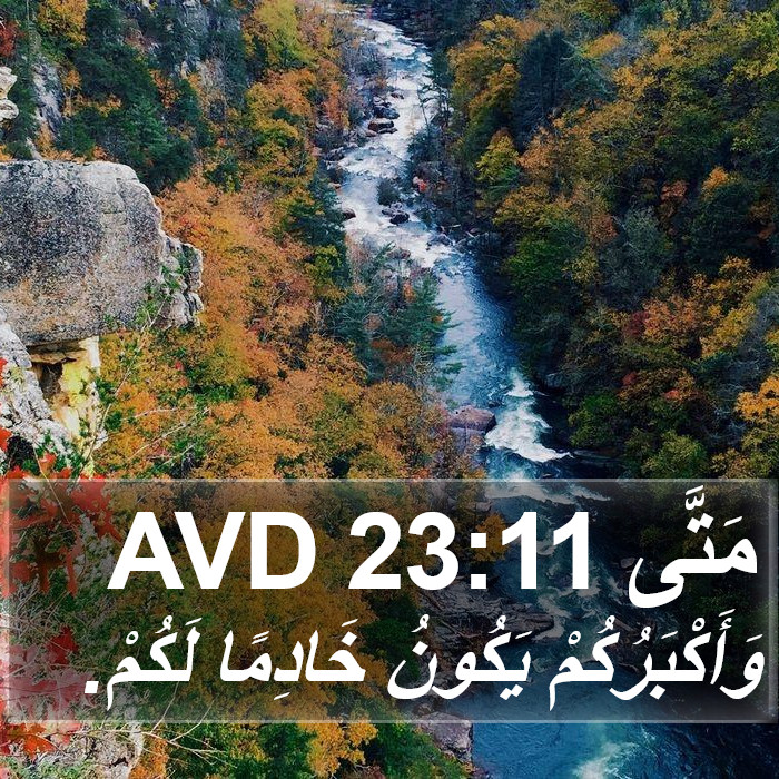 مَتَّى 23:11 AVD Bible Study