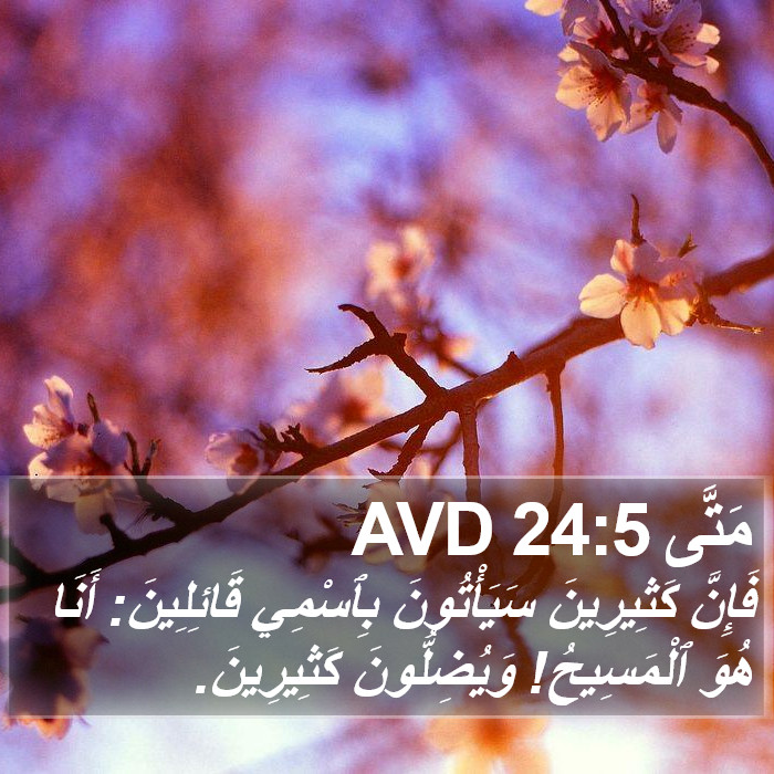 مَتَّى 24:5 AVD Bible Study