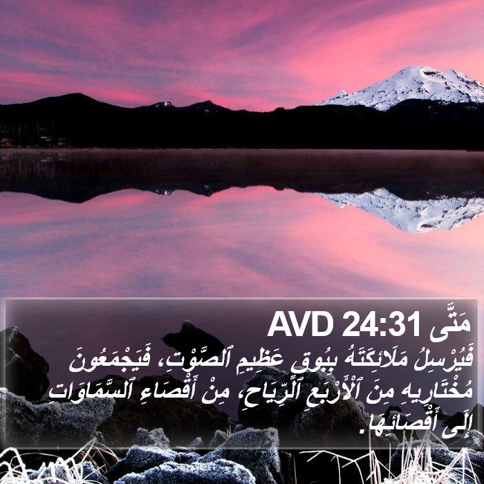 مَتَّى 24:31 AVD Bible Study