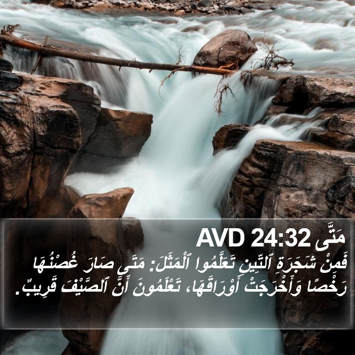 مَتَّى 24:32 AVD Bible Study