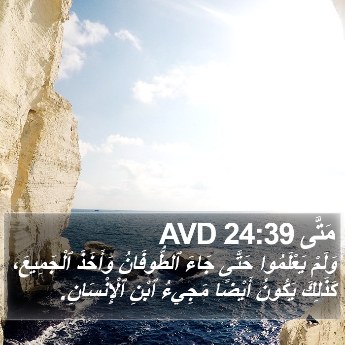مَتَّى 24:39 AVD Bible Study