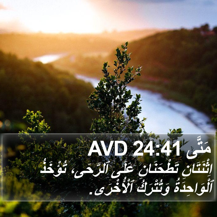 مَتَّى 24:41 AVD Bible Study