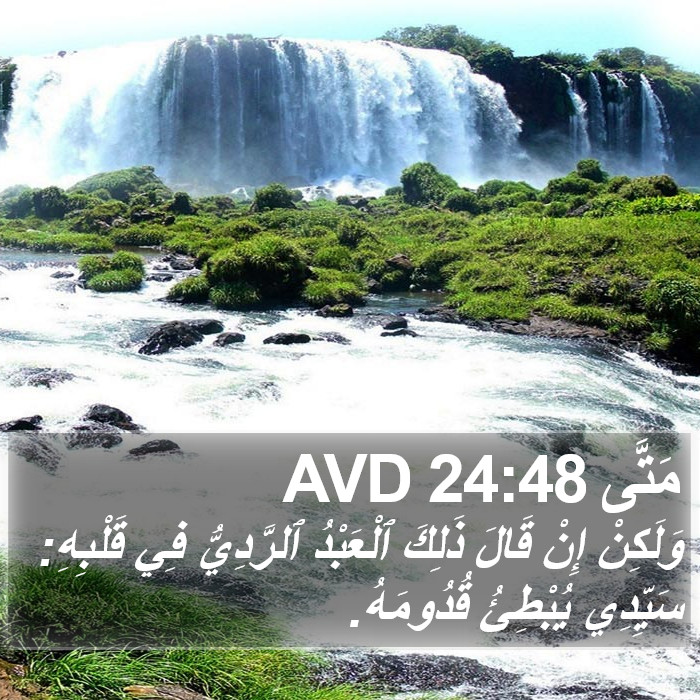 مَتَّى 24:48 AVD Bible Study