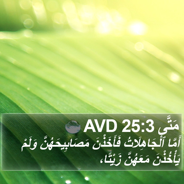 مَتَّى 25:3 AVD Bible Study