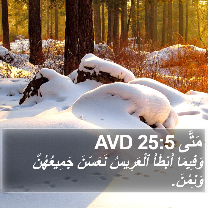 مَتَّى 25:5 AVD Bible Study