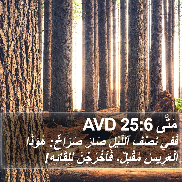 مَتَّى 25:6 AVD Bible Study