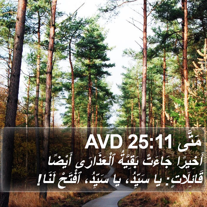 مَتَّى 25:11 AVD Bible Study