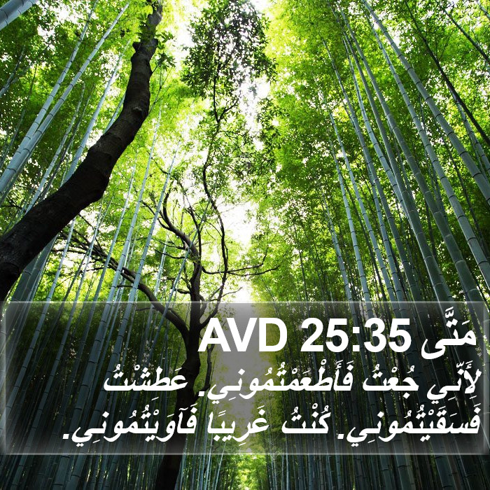 مَتَّى 25:35 AVD Bible Study