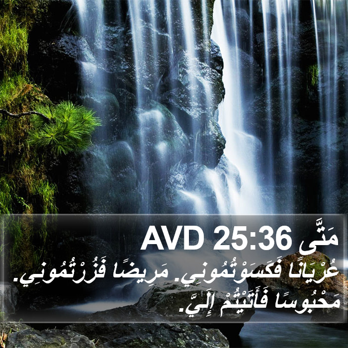 مَتَّى 25:36 AVD Bible Study