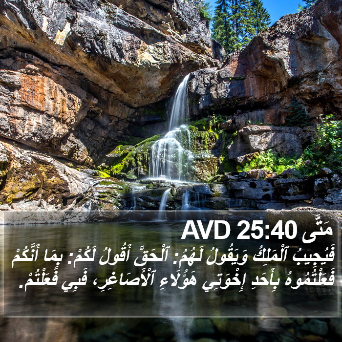 مَتَّى 25:40 AVD Bible Study