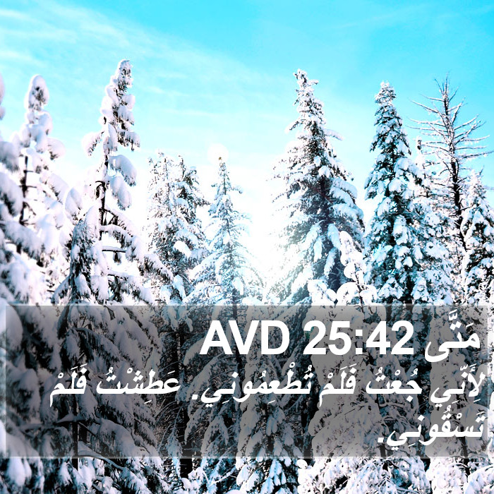 مَتَّى 25:42 AVD Bible Study