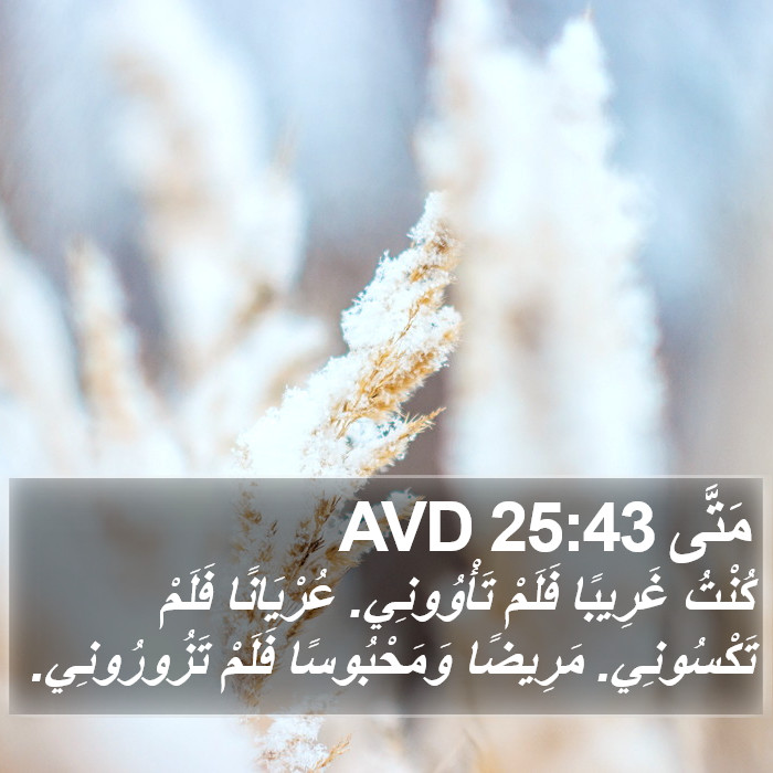 مَتَّى 25:43 AVD Bible Study