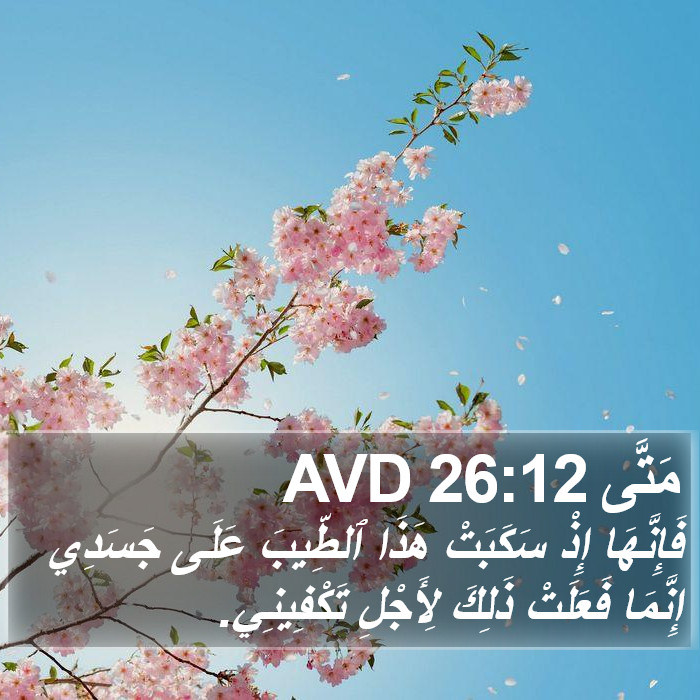 مَتَّى 26:12 AVD Bible Study