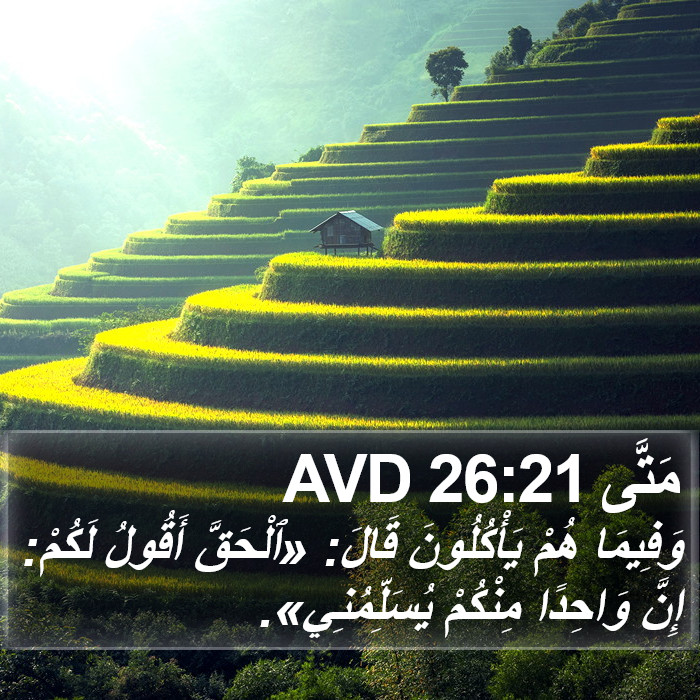 مَتَّى 26:21 AVD Bible Study