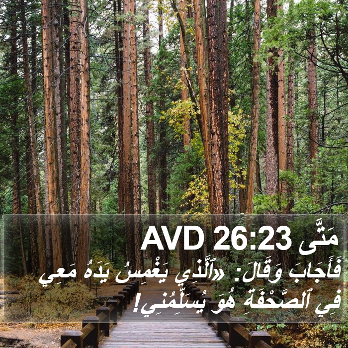 مَتَّى 26:23 AVD Bible Study