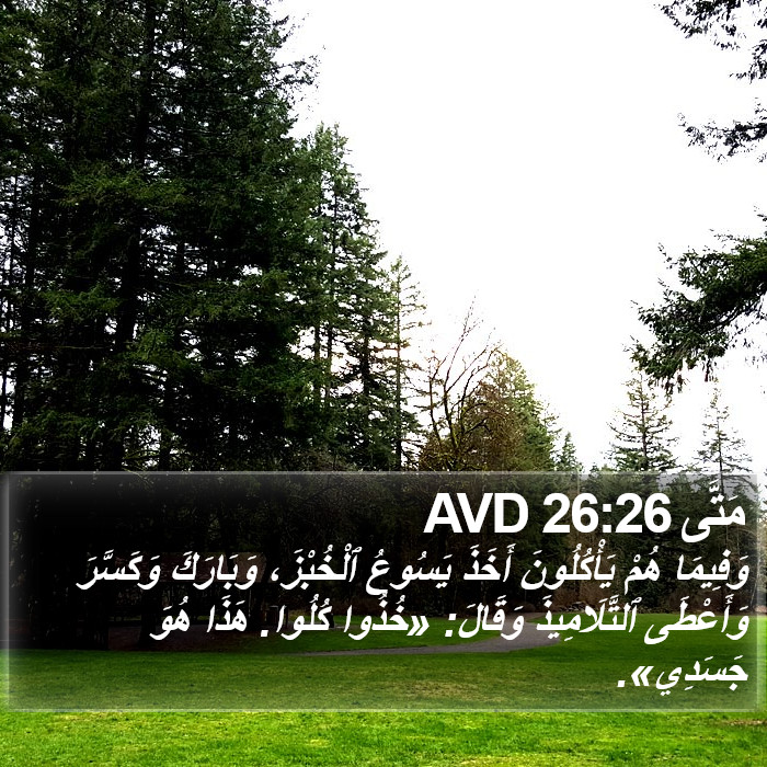 مَتَّى 26:26 AVD Bible Study