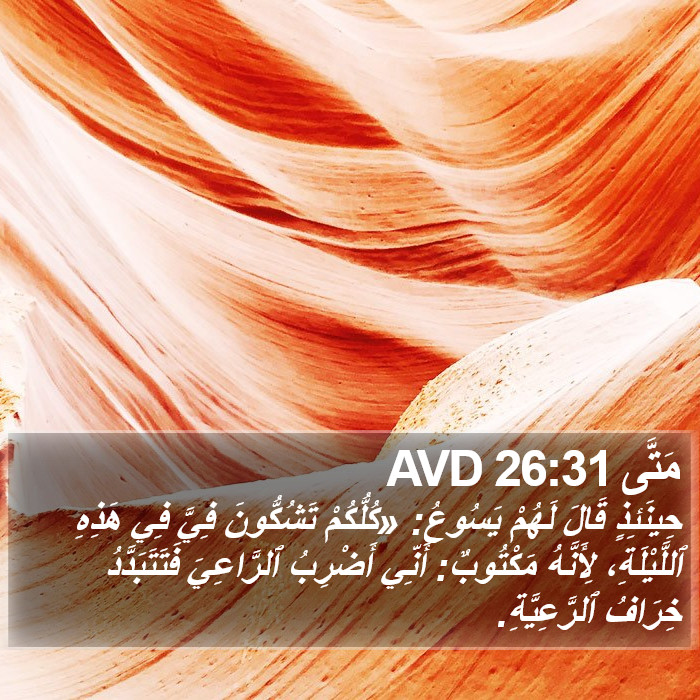 مَتَّى 26:31 AVD Bible Study