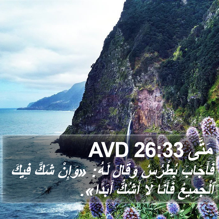 مَتَّى 26:33 AVD Bible Study