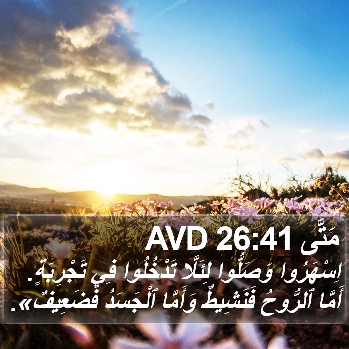 مَتَّى 26:41 AVD Bible Study