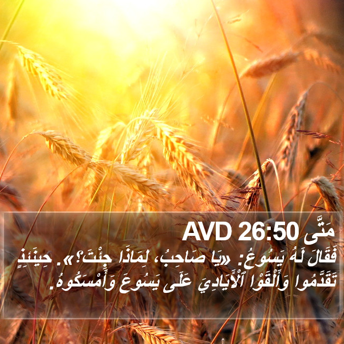 مَتَّى 26:50 AVD Bible Study