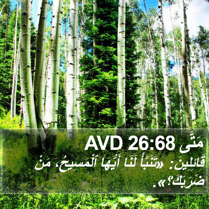 مَتَّى 26:68 AVD Bible Study