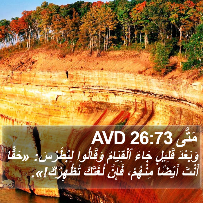 مَتَّى 26:73 AVD Bible Study