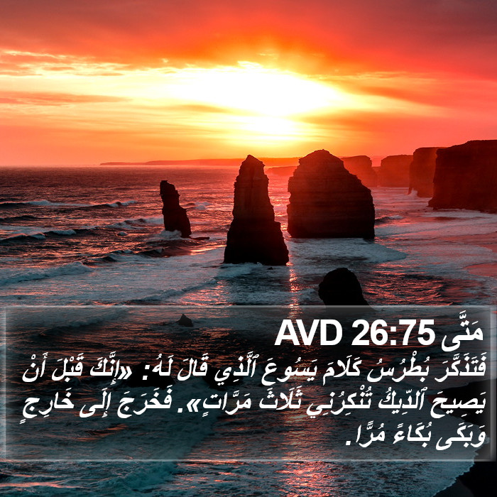 مَتَّى 26:75 AVD Bible Study