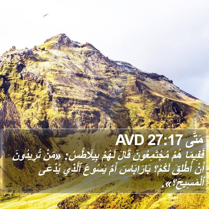 مَتَّى 27:17 AVD Bible Study