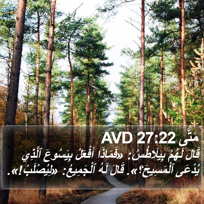 مَتَّى 27:22 AVD Bible Study