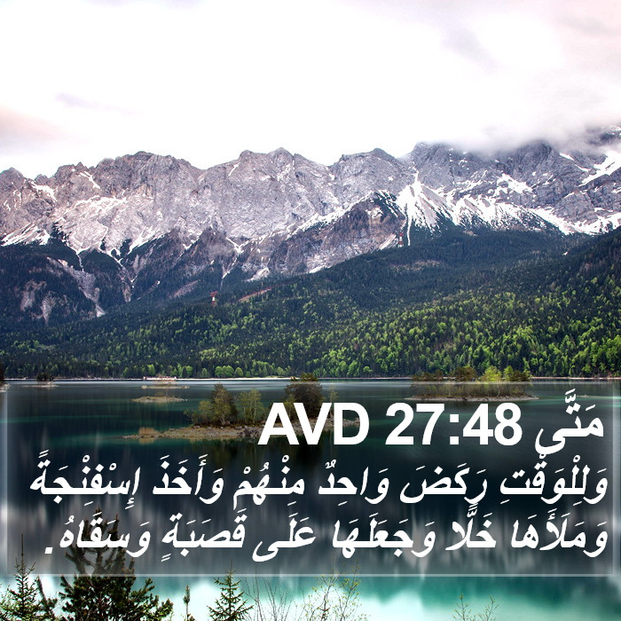 مَتَّى 27:48 AVD Bible Study