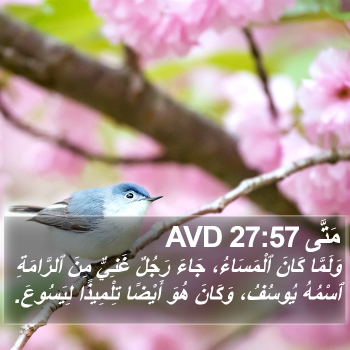 مَتَّى 27:57 AVD Bible Study