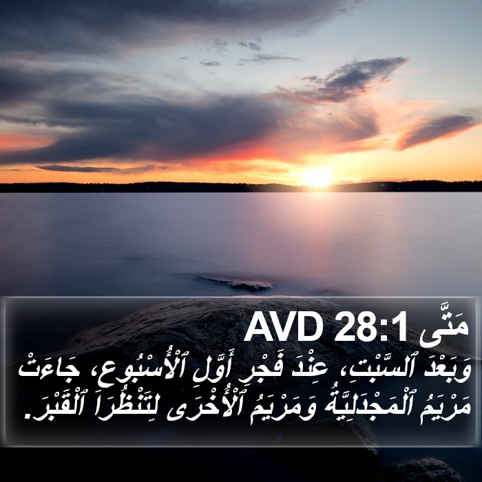 مَتَّى 28:1 AVD Bible Study