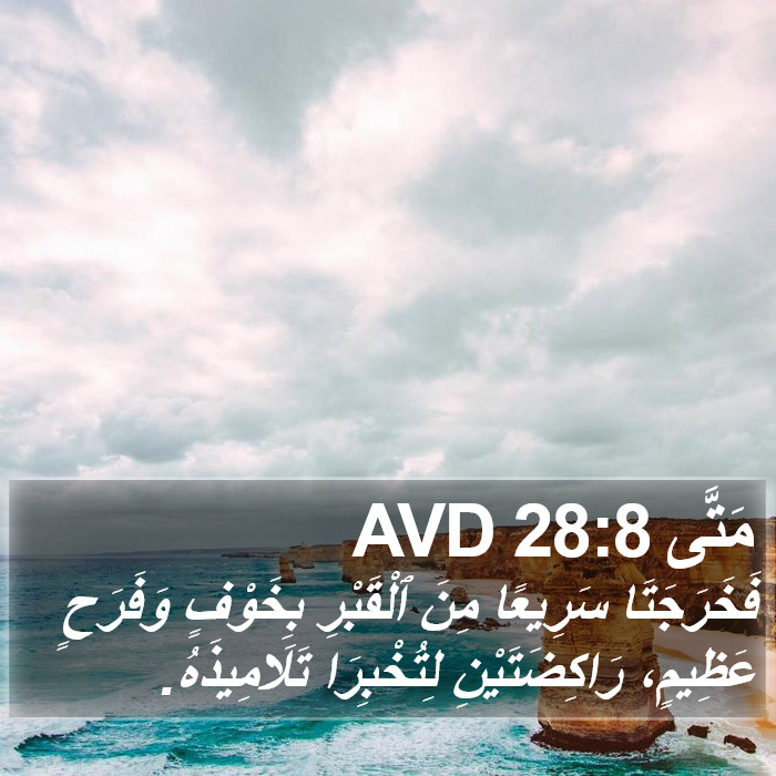 مَتَّى 28:8 AVD Bible Study