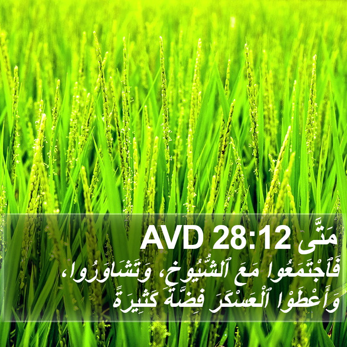 مَتَّى 28:12 AVD Bible Study