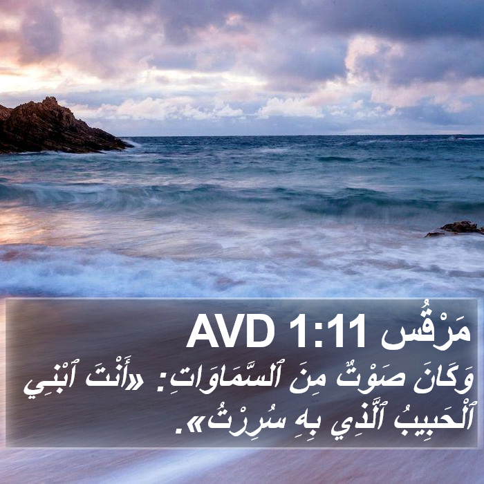 مَرْقُس 1:11 AVD Bible Study