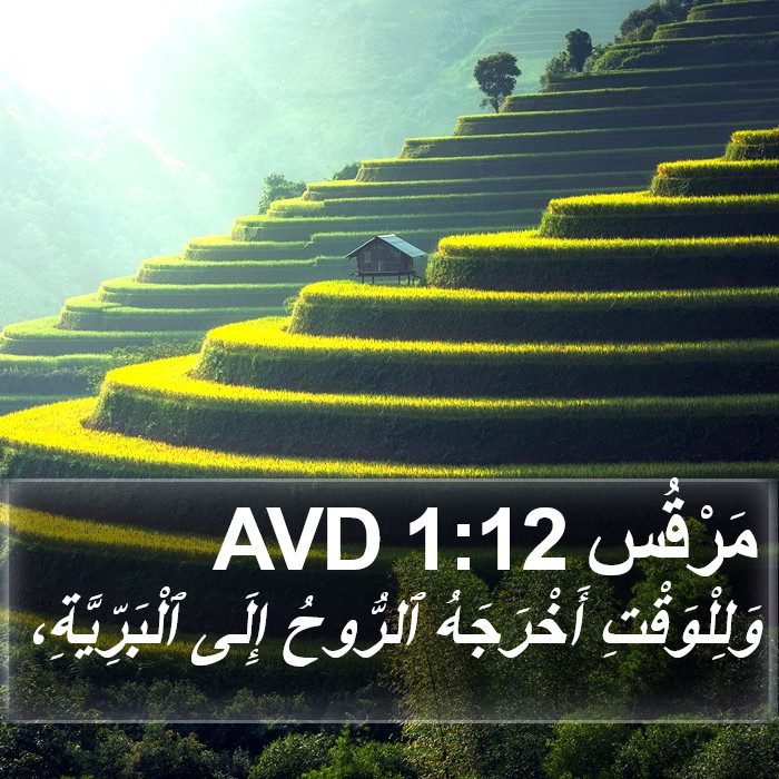 مَرْقُس 1:12 AVD Bible Study