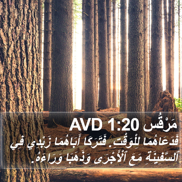 مَرْقُس 1:20 AVD Bible Study