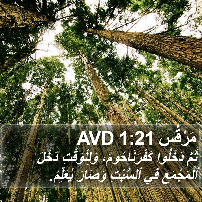 مَرْقُس 1:21 AVD Bible Study